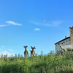 Sophia Kaernten * Strassburg