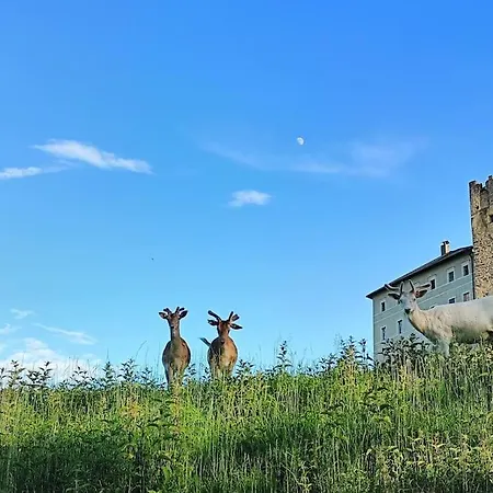 Sophia Kaernten * Straßburg in Kärnten