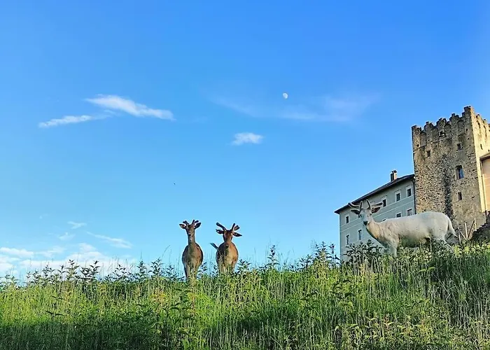 Sophia Kaernten * Straßburg in Kärnten